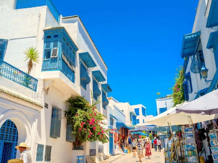 Excursions privées: Escale croisière La Goulette Tunis: Carthage, Sidi Bousaid et la Médina