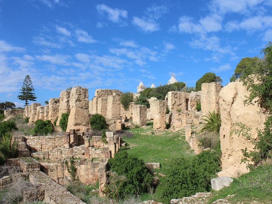 Journée entière Musée du Bardo, Medina, Carthage et Sidi Bousaid depuis Tunis ou Hammamet