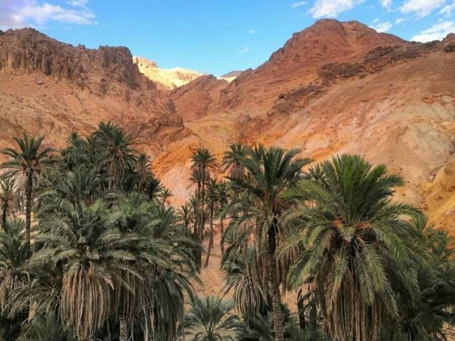 Visite du Sud Tunisien en 2 jours/ 1 nuit: Expérience Saharienne avec nuit en Camp