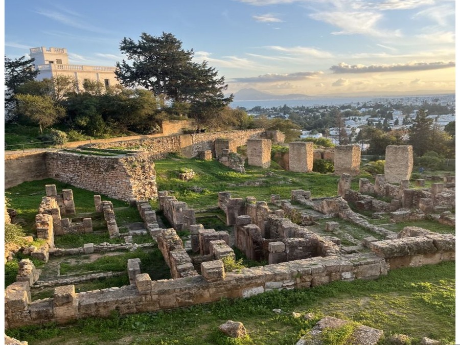 Visite privée demi-journée Sidi Bousaid-Carthage depuis Tunis ou Hammamet